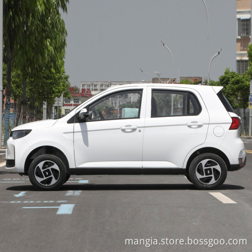 New energy vehicles 5 doors 4 seats left turn new cars to be sold in 2022 high-quality rechargeable Chinese electric car